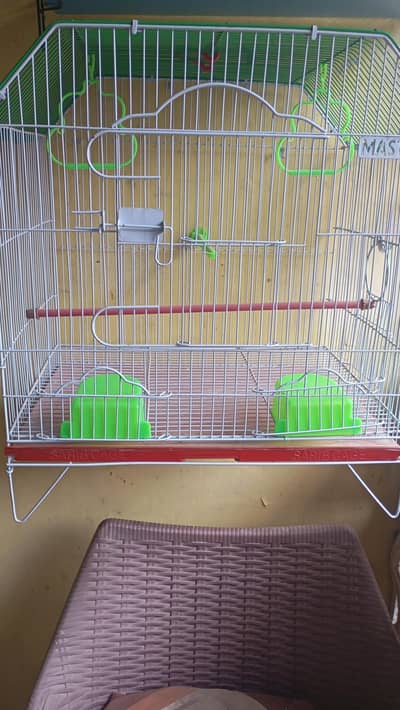 birds cage