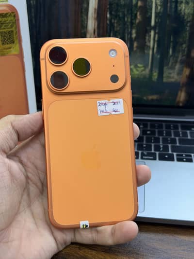 17 Pro