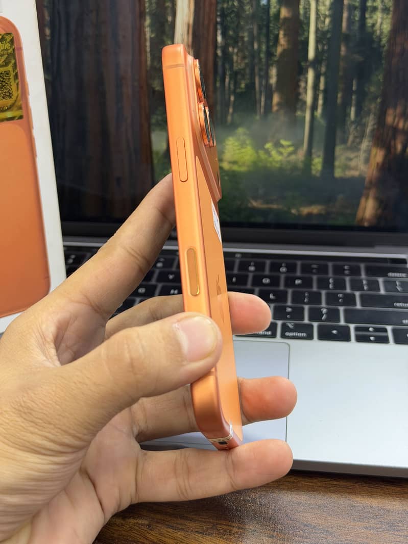17 Pro 4