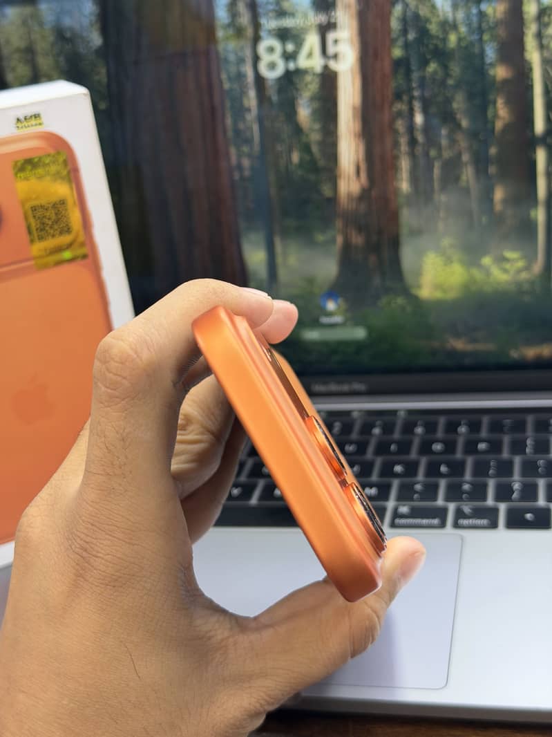 17 Pro 5