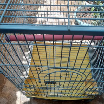 Cage for Parrots