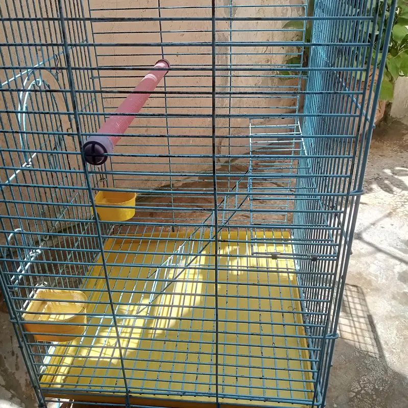 Cage for Parrots — photo 2