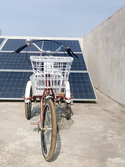 Premium Adult Tricycle | Imported 3 Wheel Cycle | Shopping & Cargo Bi