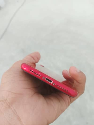 iPhone XR
