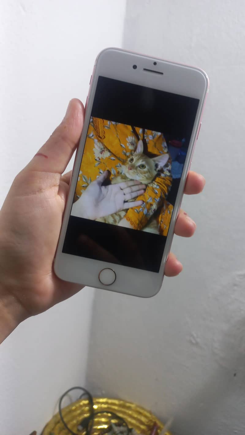 Apple iPhone 7 Plus 2