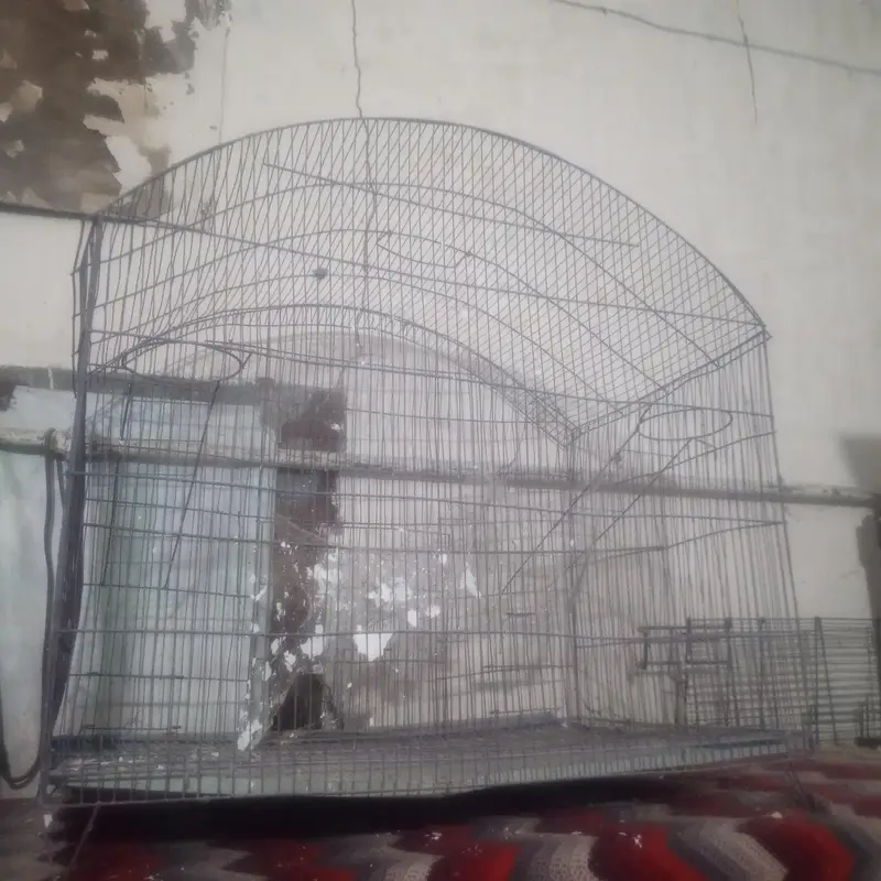 cage. — photo 2
