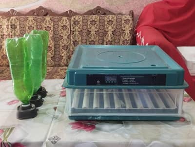 Fully Automatic 70+ Eggs AC/DC Egg Incubator for Sale