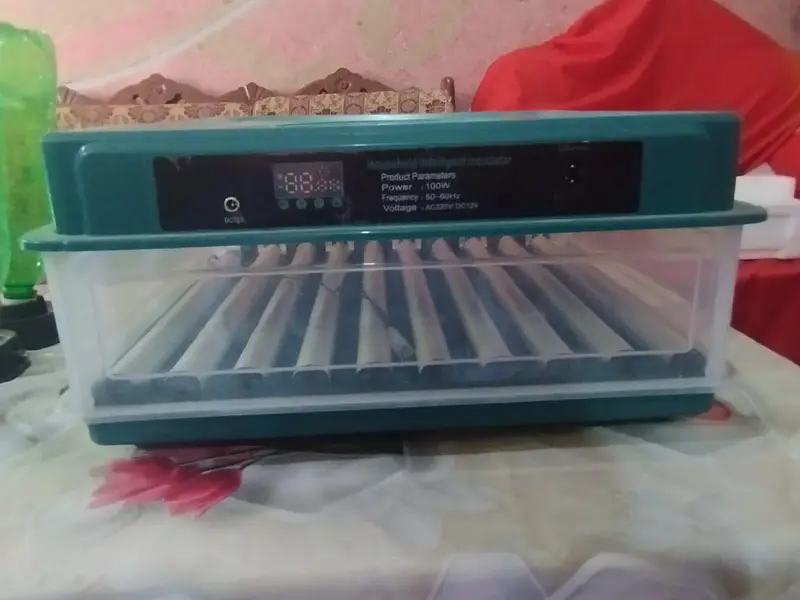 Fully Automatic 70+ Eggs AC/DC Egg Incubator for Sale — photo 2