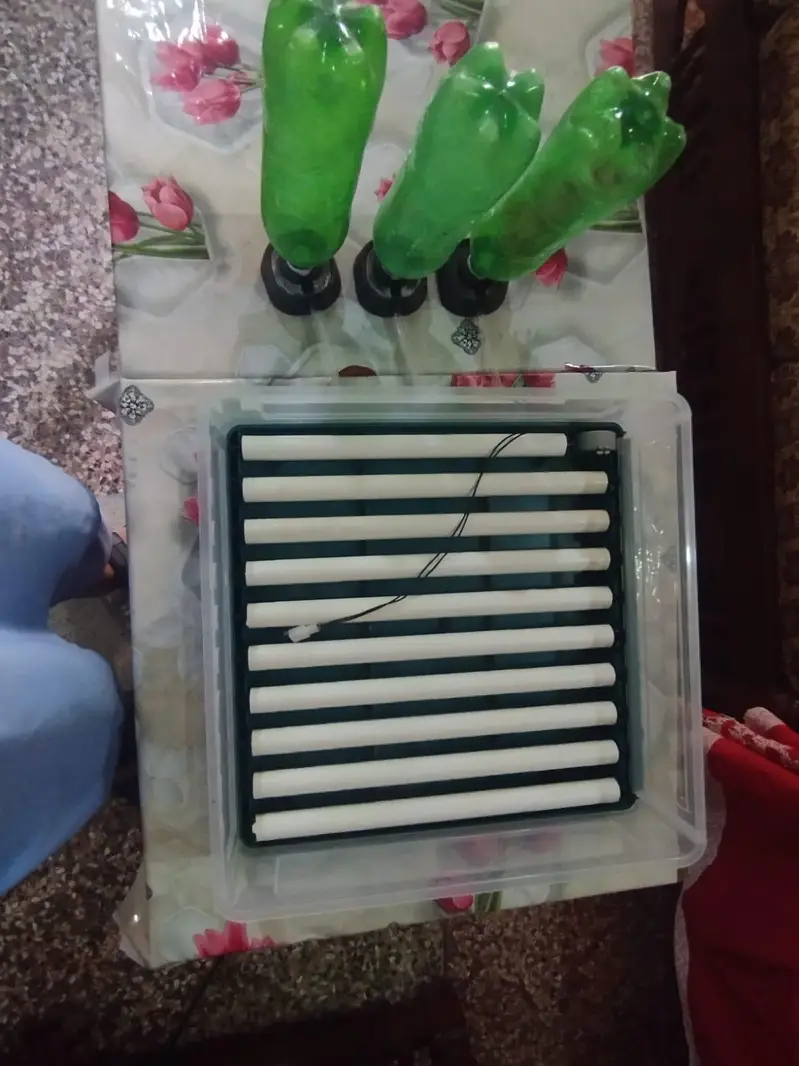 Fully Automatic 70+ Eggs AC/DC Egg Incubator for Sale — photo 4