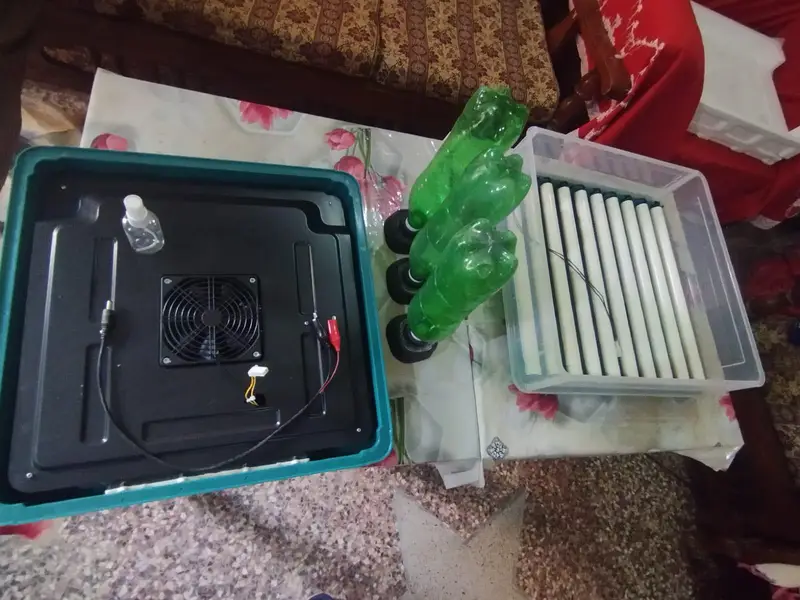 Fully Automatic 70+ Eggs AC/DC Egg Incubator for Sale — photo 6