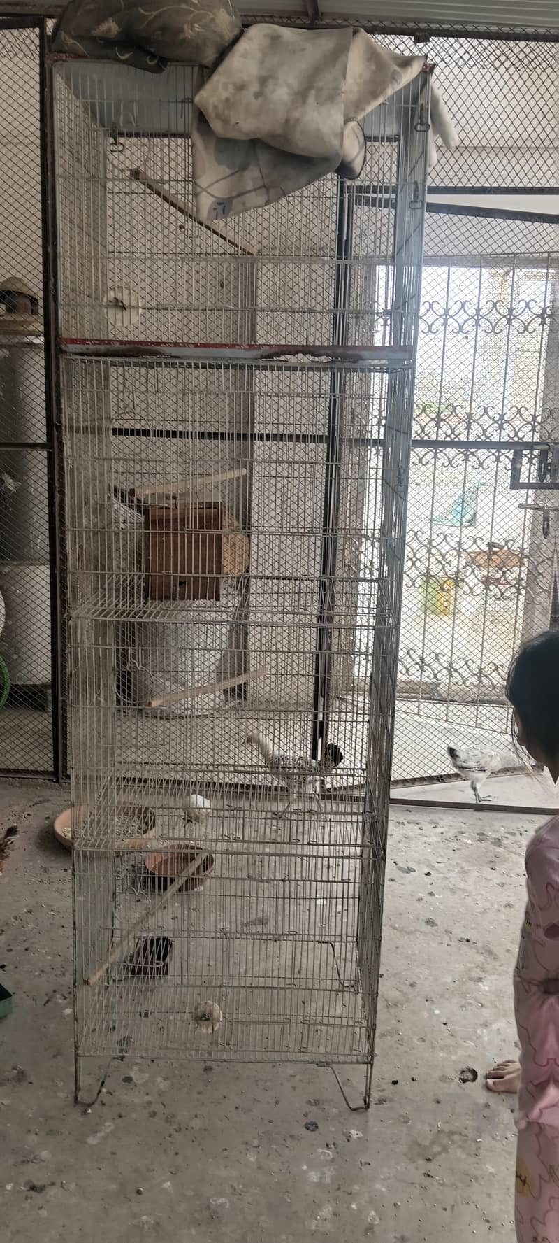 cages 1