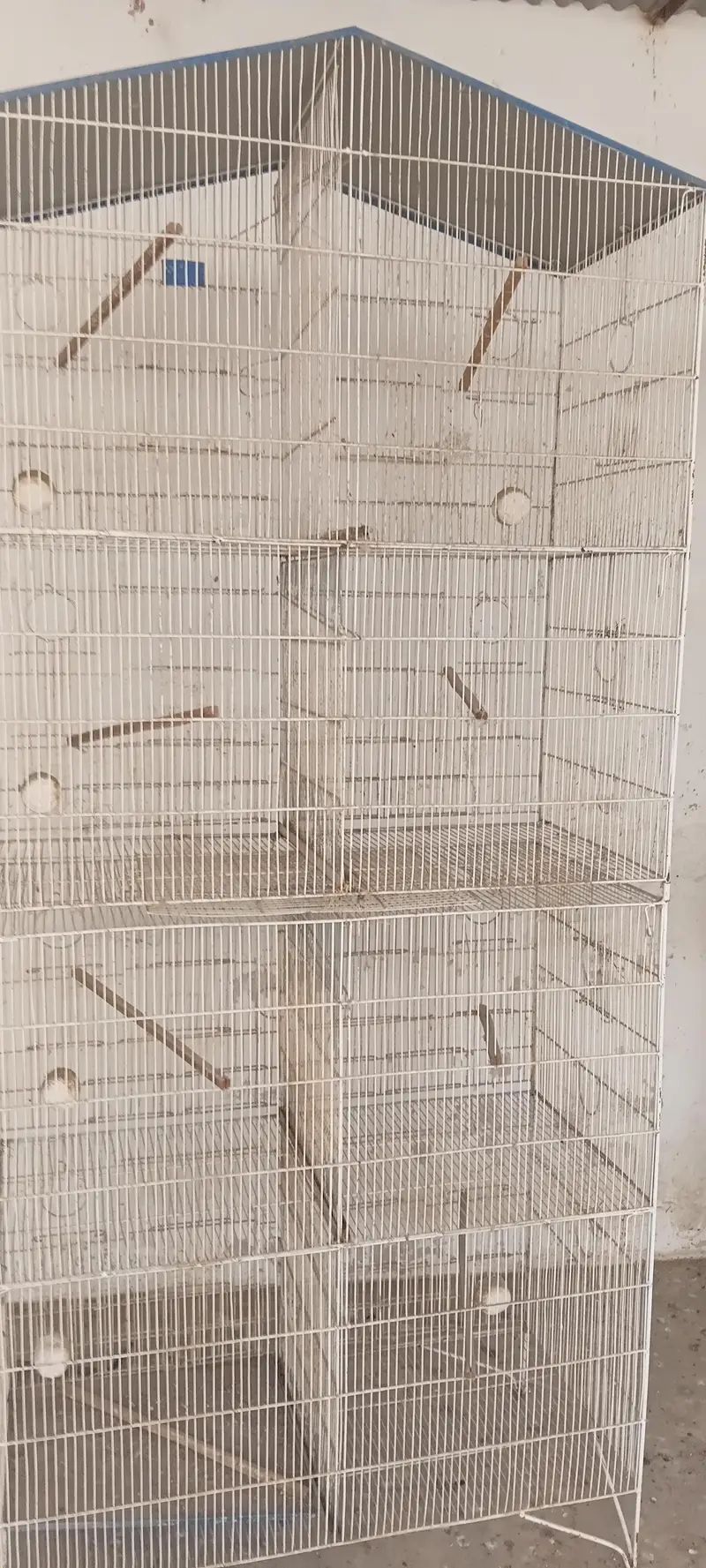 cages — photo 3
