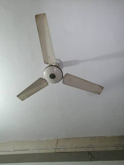 Younas Ceiling Fan - Full Size