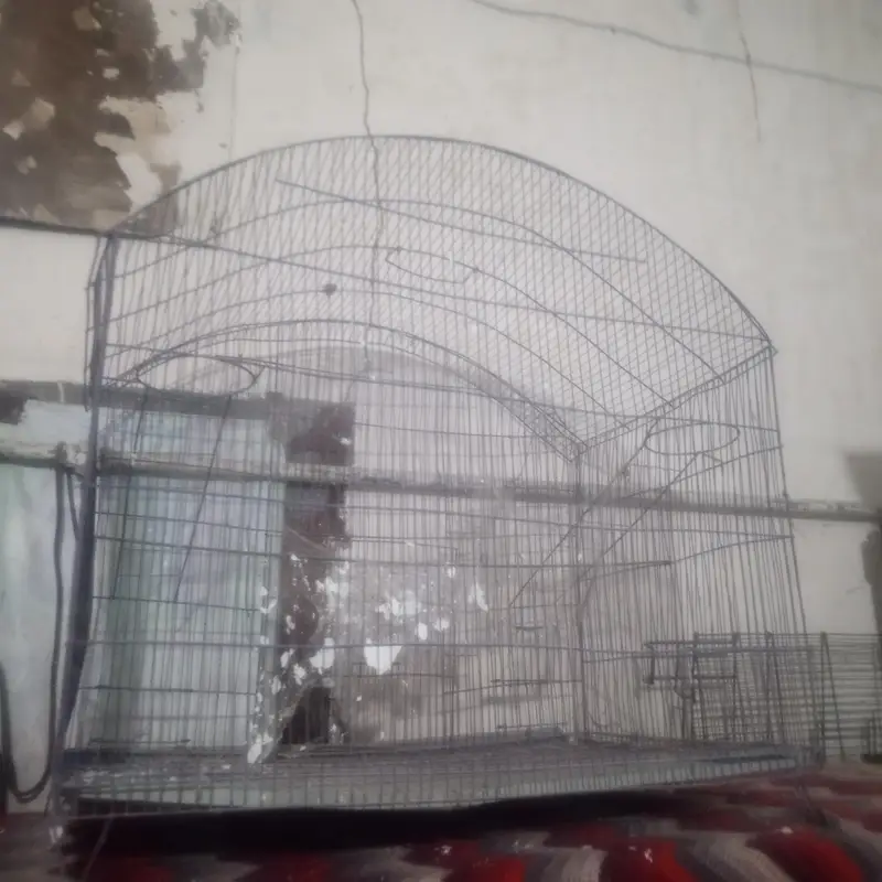 cage. — photo 3