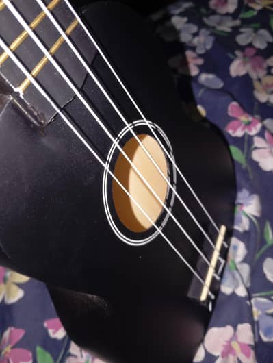 guitar