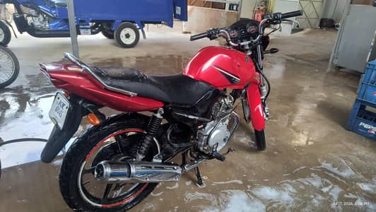 Yamaha YBR for sale