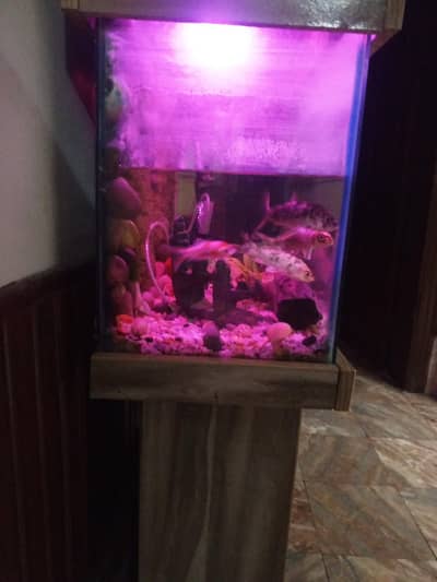 Aquarium