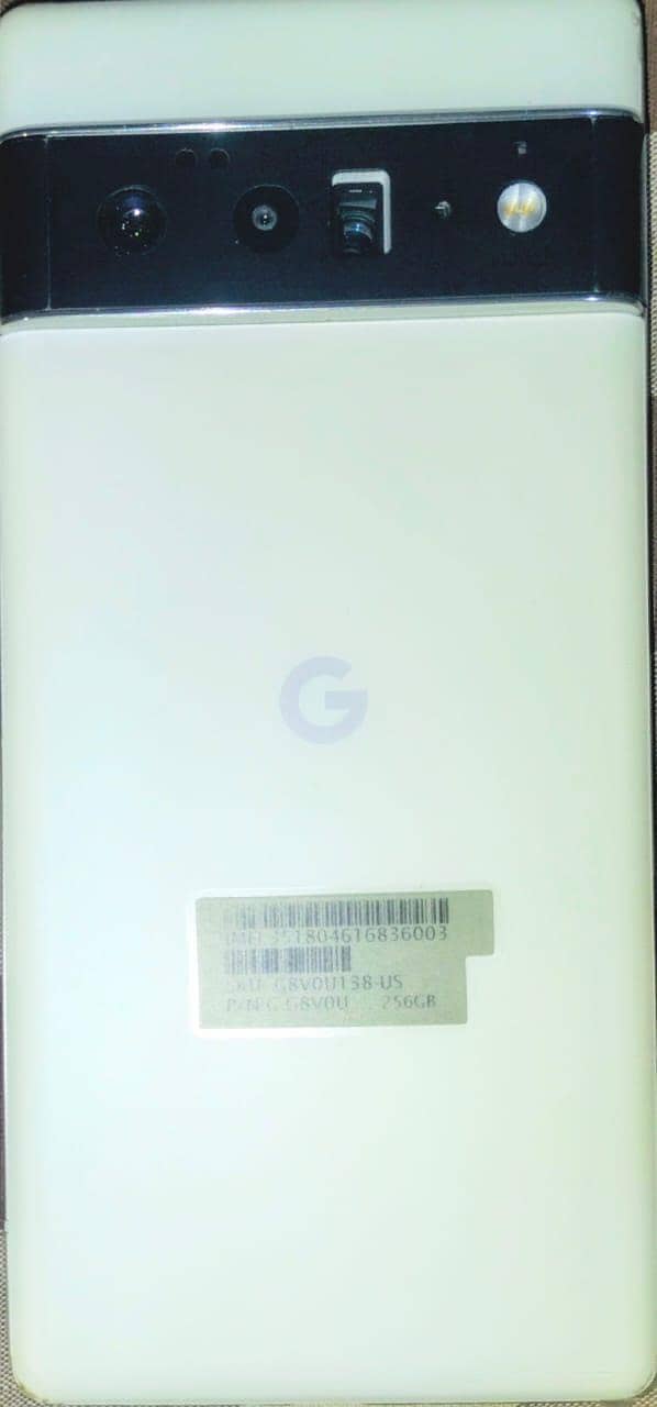 Google Pixel 6 Pro 1
