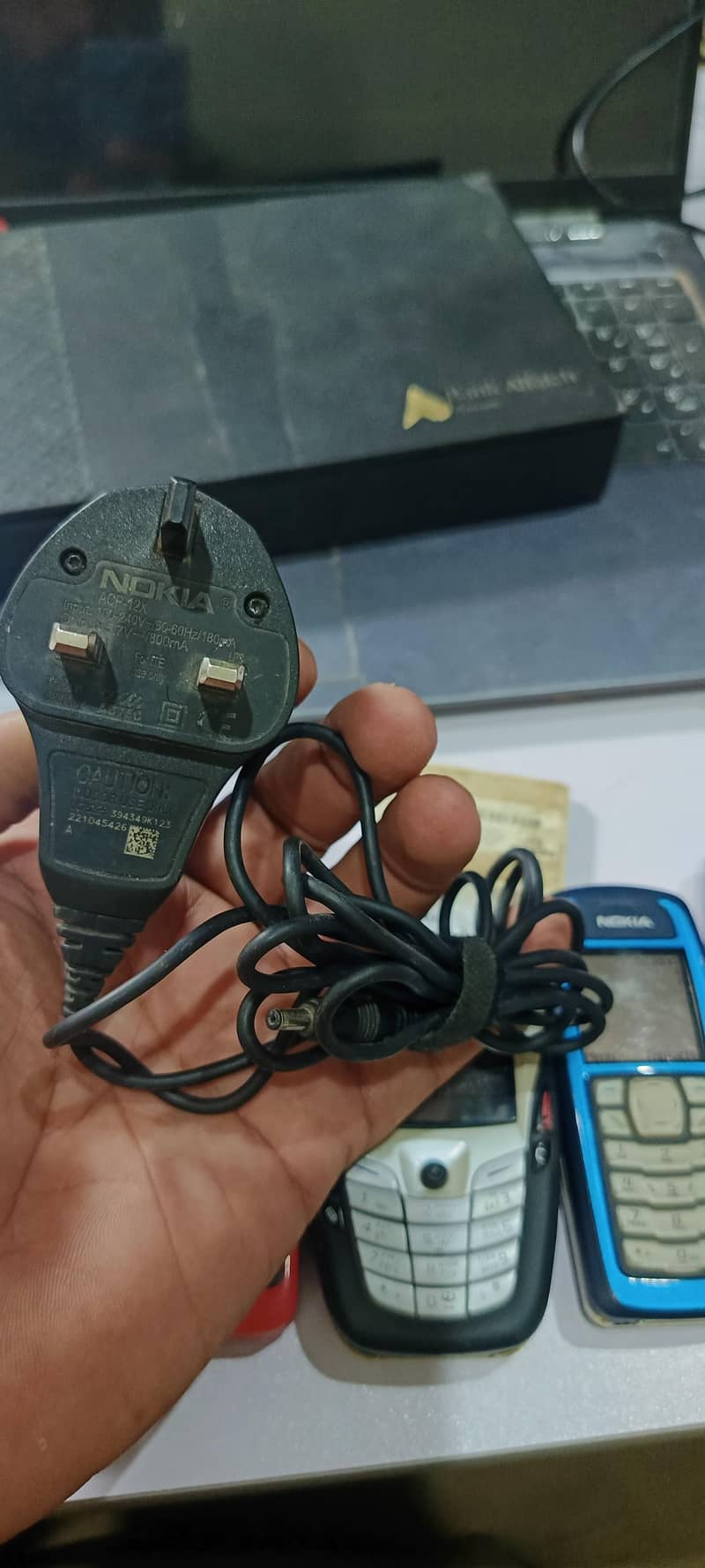 Nokia 3100 1