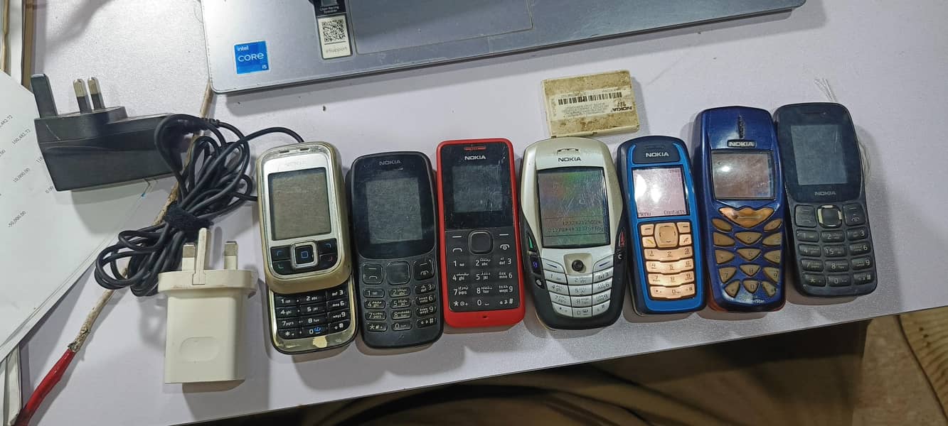 Nokia 3100 2