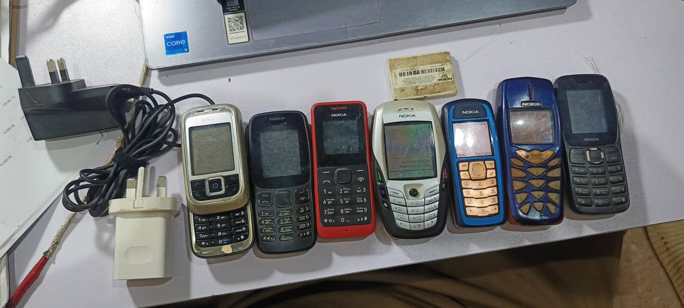 Nokia 3100 3