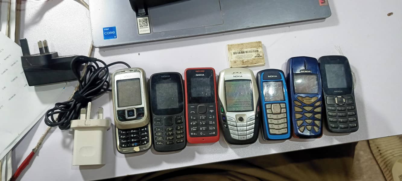 Nokia 3100 4