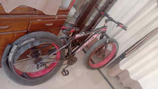 sports cycle