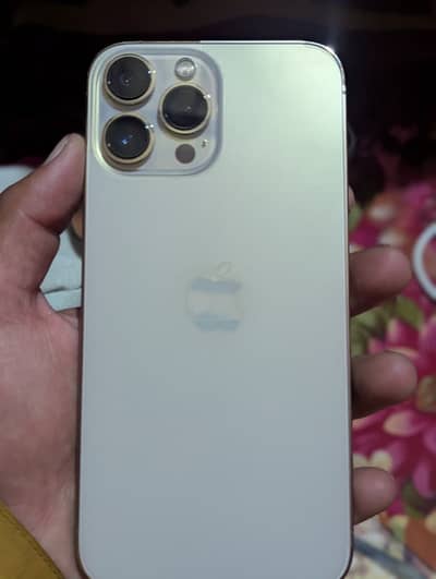 Apple iPhone 13 Pro Max