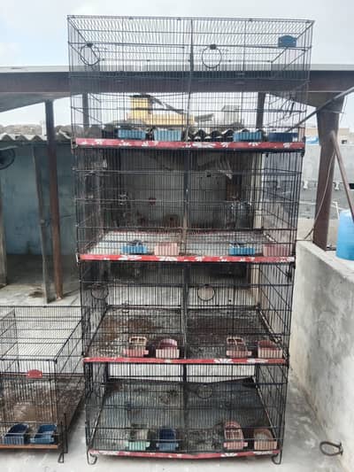 Folding Cages Available