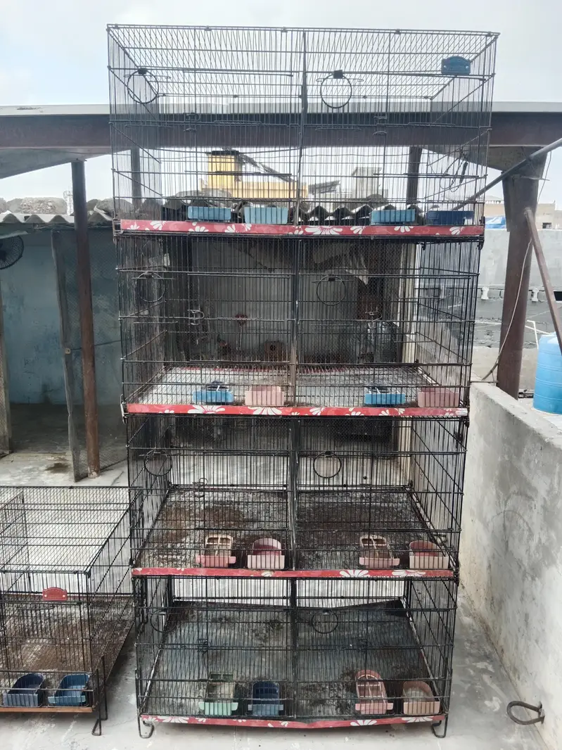 Folding Cages Available