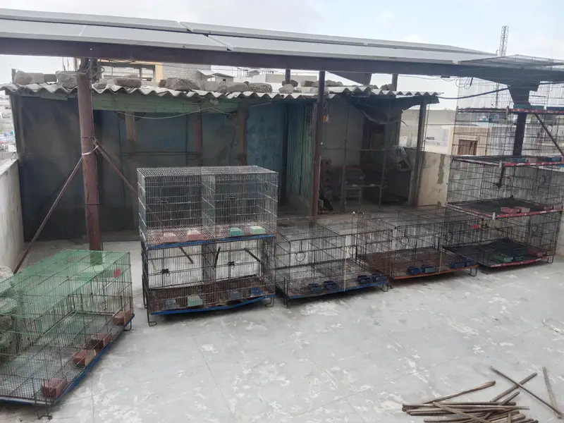 Folding Cages Available — photo 2