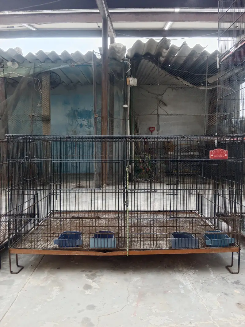 Folding Cages Available — photo 3