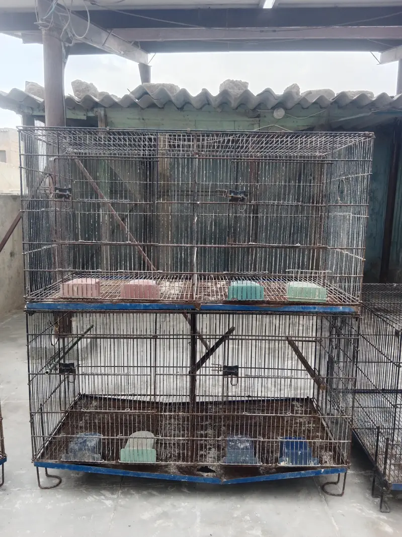 Folding Cages Available — photo 5