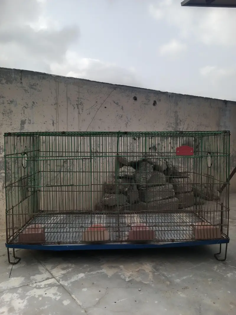 Folding Cages Available — photo 6