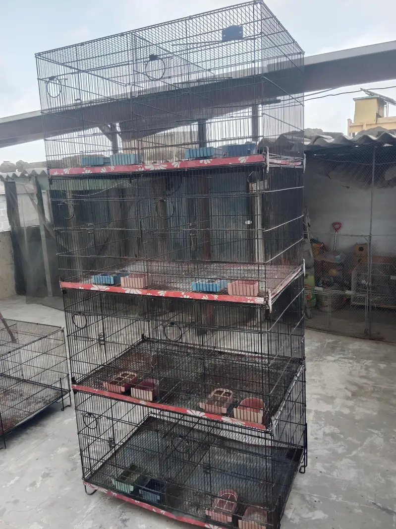 Folding Cages Available — photo 7
