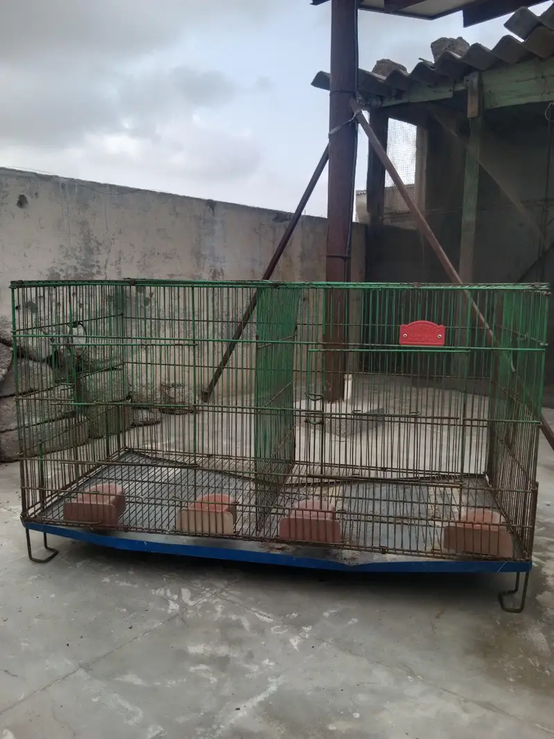 Folding Cages Available — photo 10