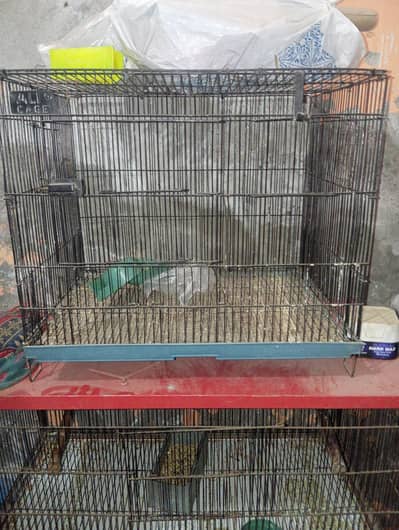birds cage contact number 03o17.1. 9.0. 3.6. 5