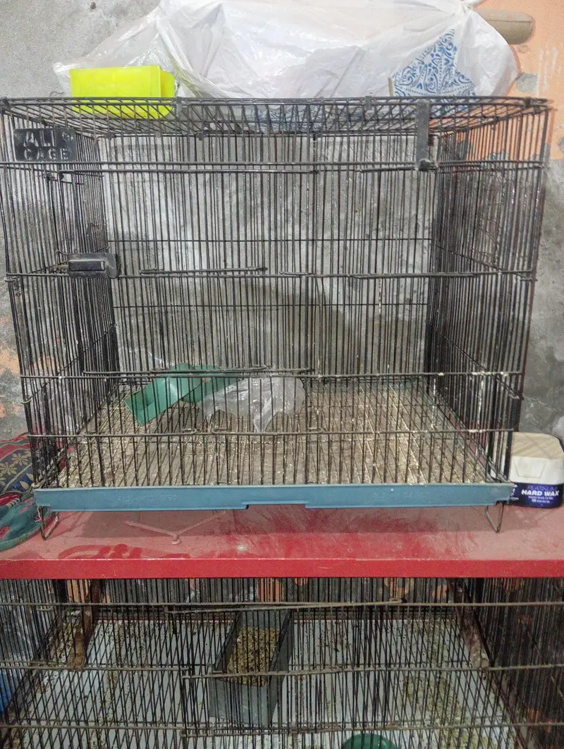 birds cage contact number 03o17.1. 9.0. 3.6. 5