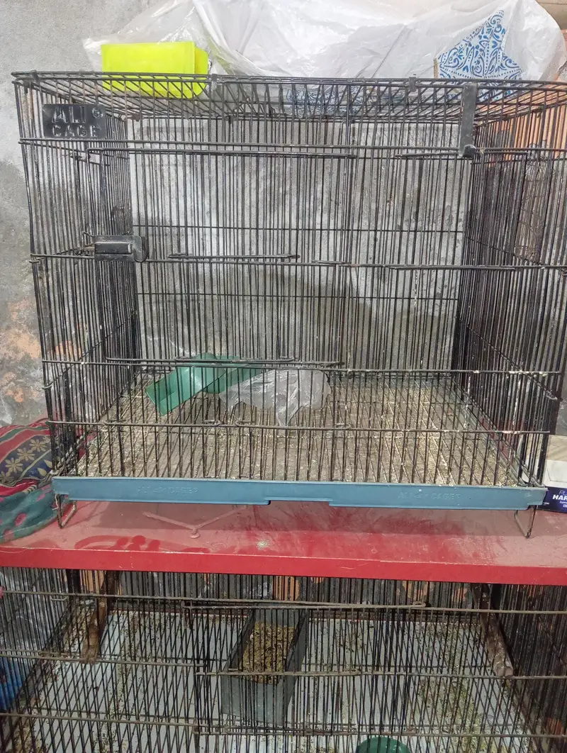 birds cage contact number 03o17.1. 9.0. 3.6. 5 — photo 2