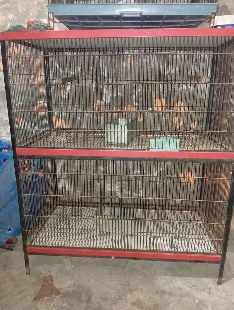 birds cage contact number 03o17.1. 9.0. 3.6. 5 — photo 3