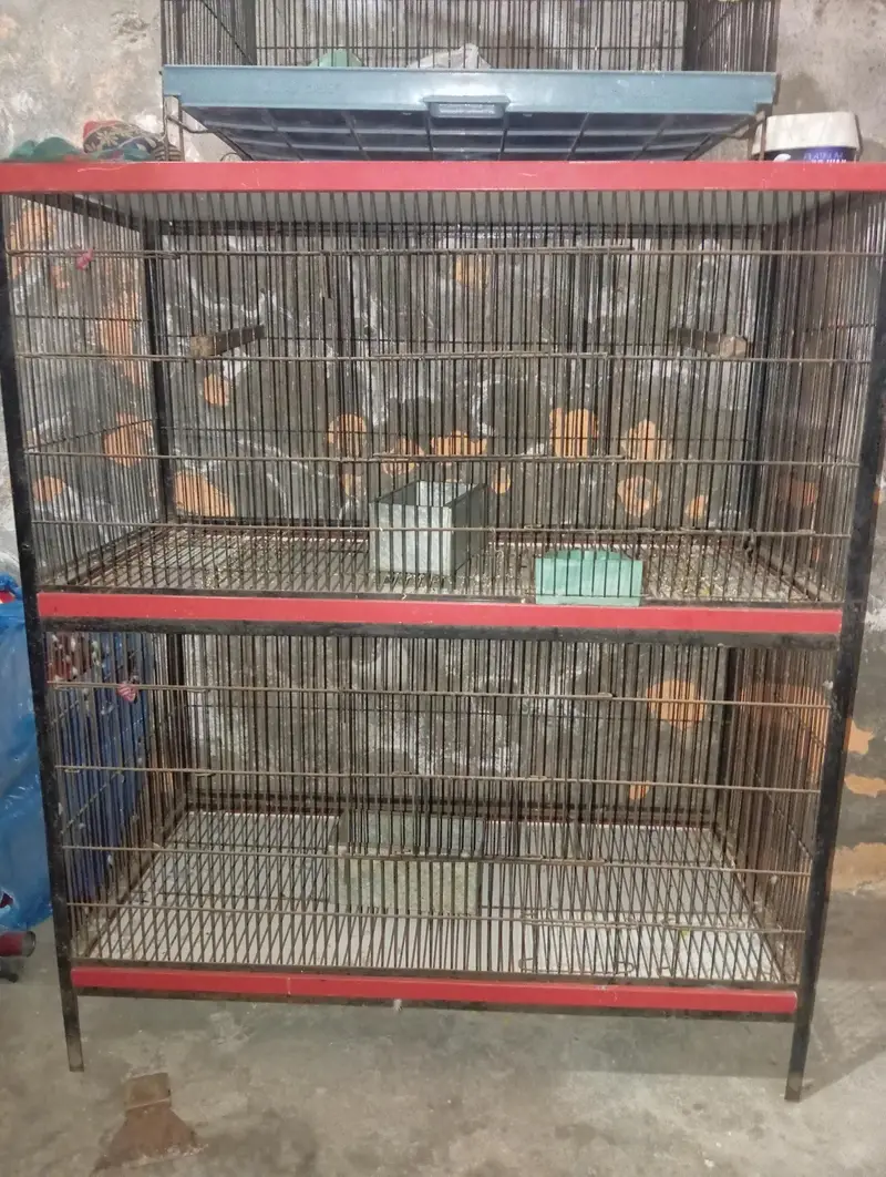 birds cage contact number 03o17.1. 9.0. 3.6. 5 — photo 4