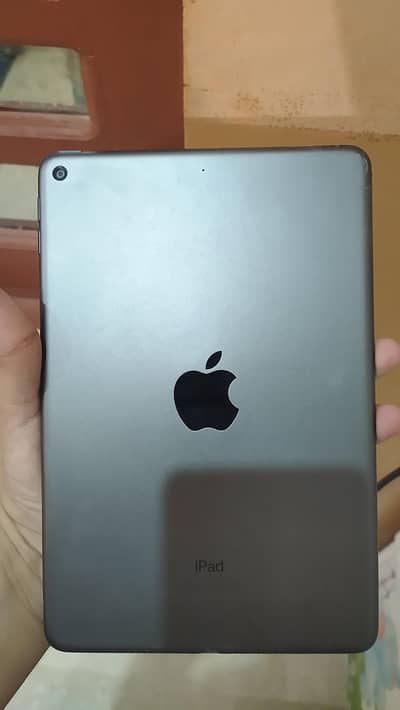 ipad mini 5 10/10 mint condition 3hr battery back in PUBG
