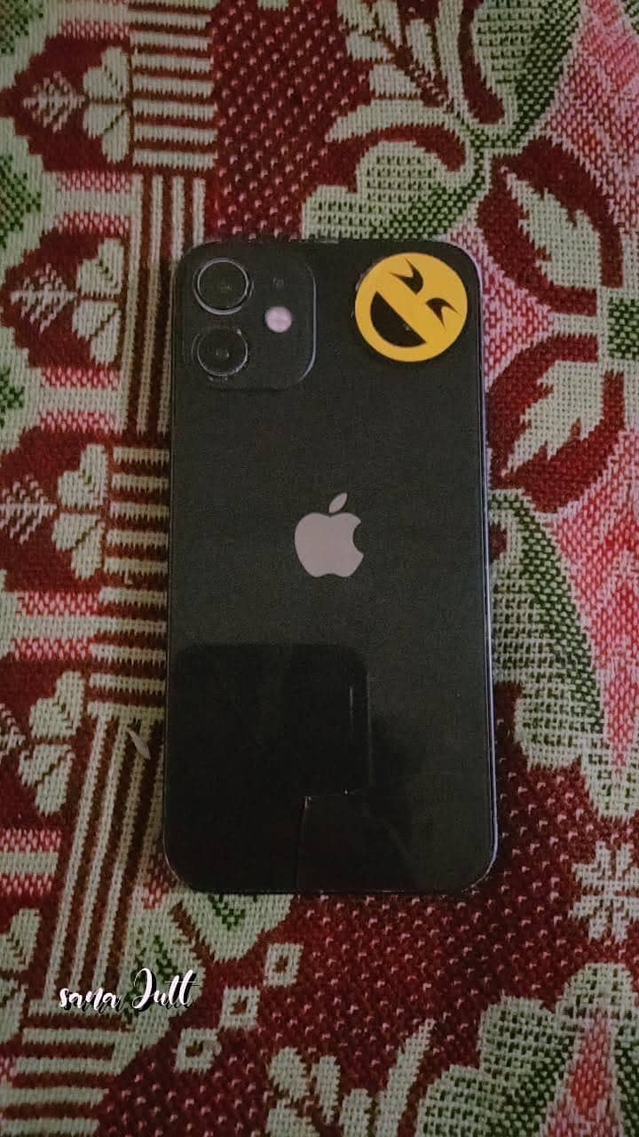 iPhone 12 Mini 1
