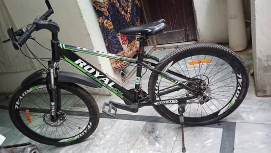 Mountain Bike