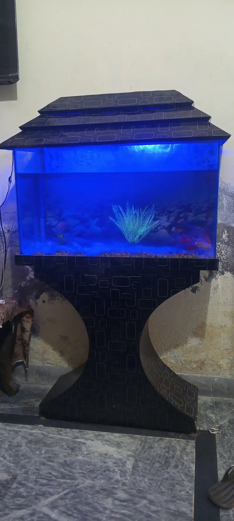 Big size aquarium