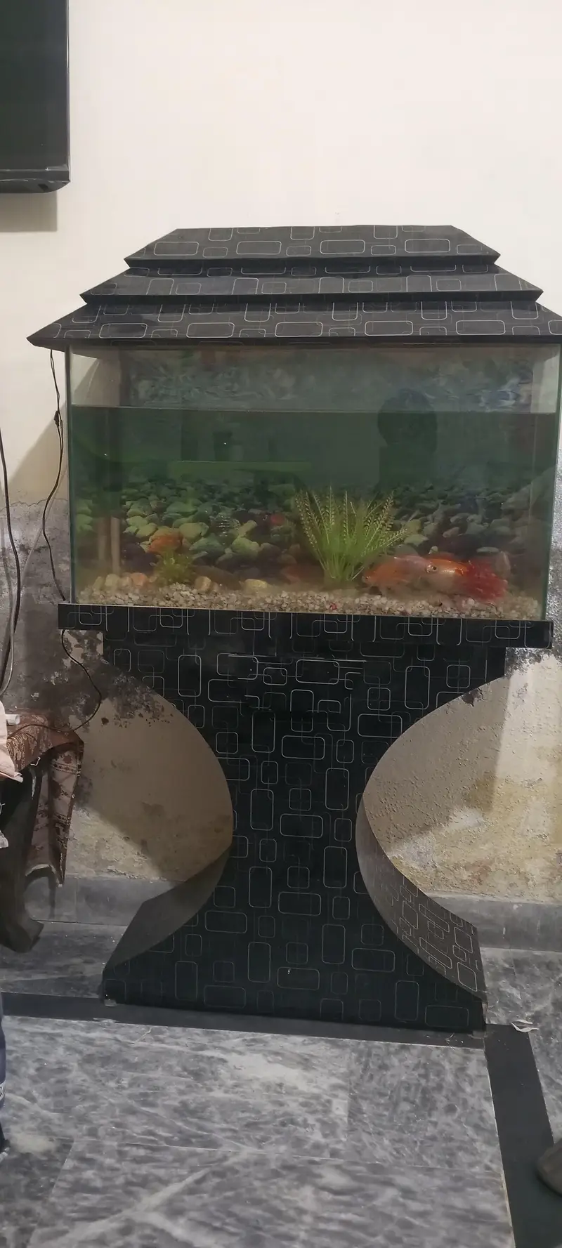 Big size aquarium — photo 3
