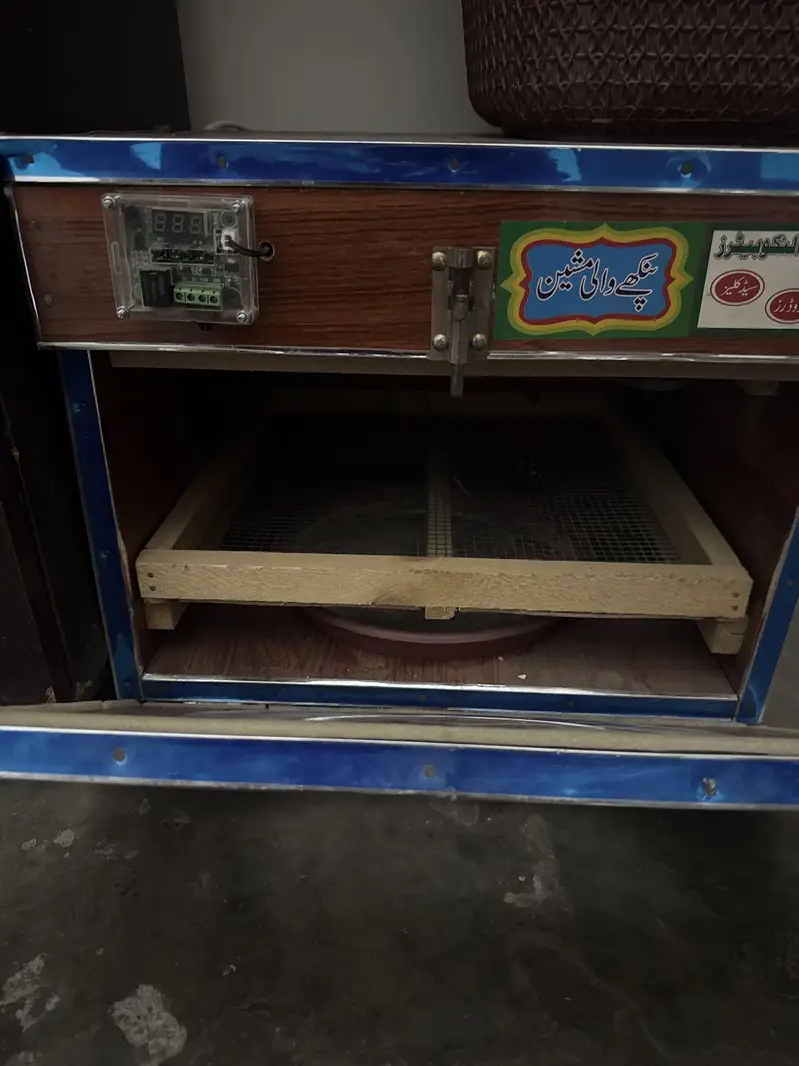 Eggs incubator — photo 2