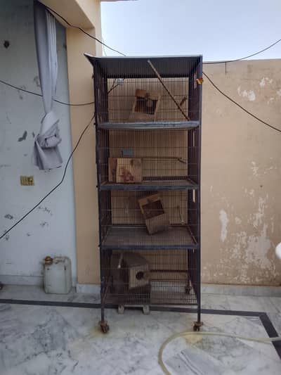 used iron cage