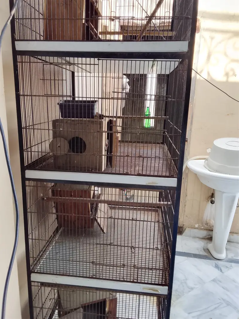 used iron cage — photo 2