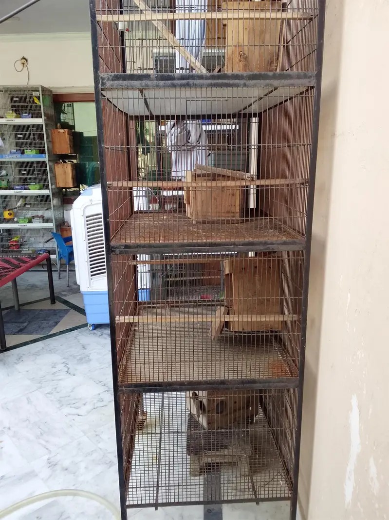 used iron cage — photo 3